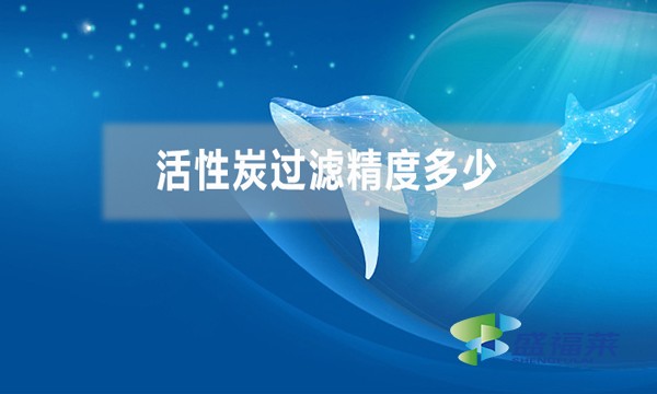 活性炭過濾精度多少，能過濾多大的雜質(zhì)？
